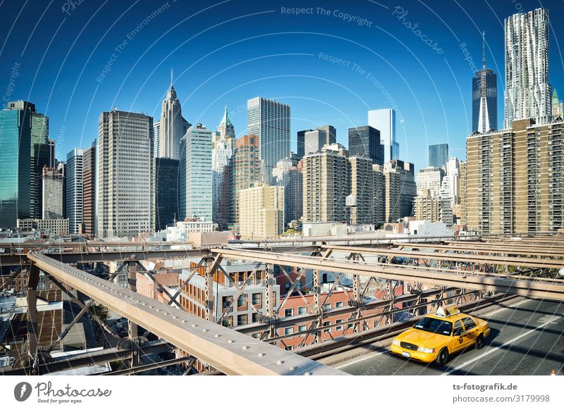 Balancieren auf der Brooklyn Bridge New York City Manhattan Stadt Stadtzentrum Skyline Haus Hochhaus Brücke Bauwerk Gebäude Architektur Sehenswürdigkeit