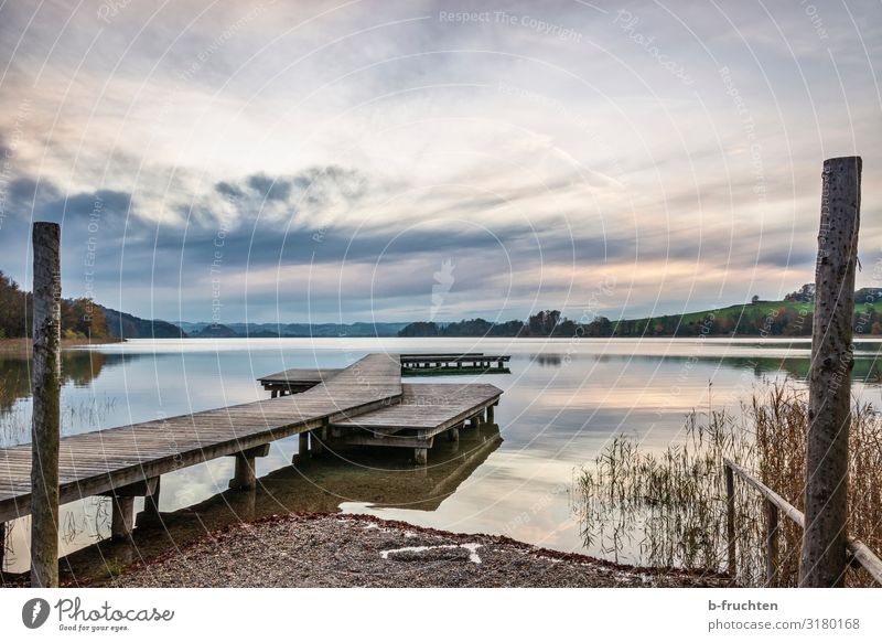 Holzsteg Natur Landschaft Wasser Himmel Wolken Herbst Seeufer Erholung Stimmung Glück Zufriedenheit Lebensfreude Idylle Steg leer ruhig mattsee