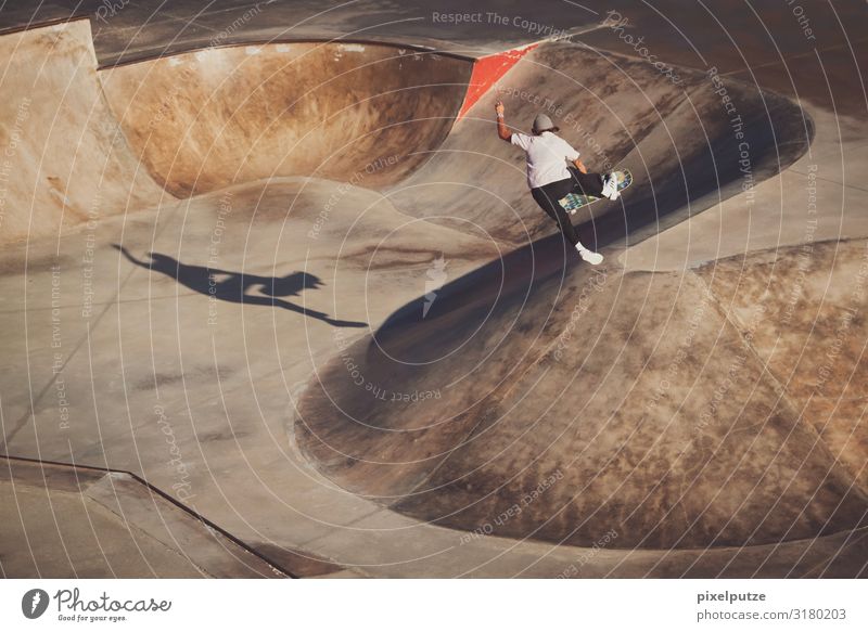 Skateboarderin macht einen Trick in einem Skatepark Sport Sportstätten Halfpipe Mensch feminin 1 18-30 Jahre Jugendliche Erwachsene Konzentration Air Brennpunkt