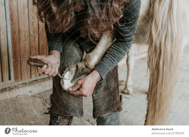 Mann beschuht Pferd in der Nähe des Stalls Hufschmied Hufeisen Pferdestall Ranch Hammer anmachend Arbeit & Erwerbstätigkeit Werkzeug Eisen Tier Gerät Beruf