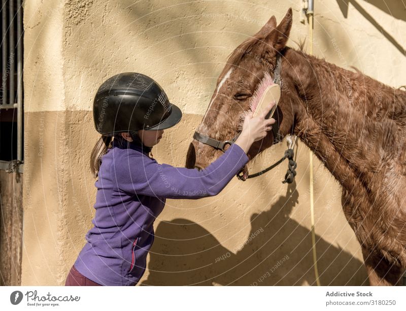 Frau und Mädchen bürsten Pferd Zaumzeug bürstend Pferdestall Verkaufswagen Schulunterricht Pferderücken Reiten Ranch Tier Jugendliche Kind Fürsorge Gerät