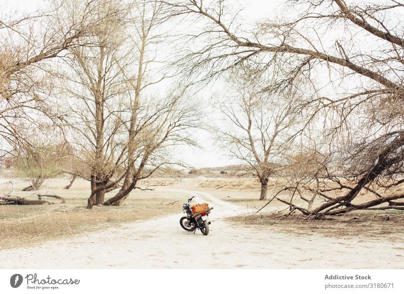 Motorrad auf der Landstraße Straße Landschaft Ferien & Urlaub & Reisen Natur Freizeit & Hobby Werkzeug Menschenleer Gerät Verkehr Wege & Pfade Pfosten Fahrzeug