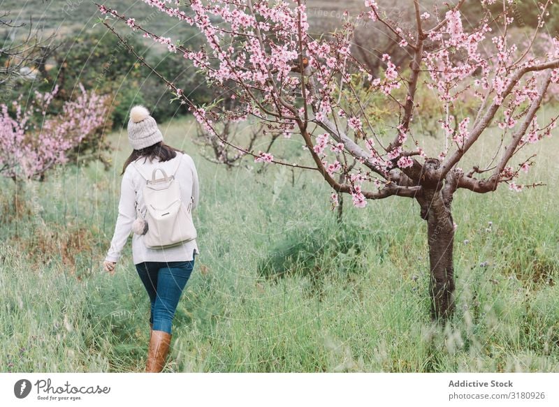 Anonyme Frau, die in der Nähe eines blühenden Baumes geht. Blume laufen Landschaft Frühling Ferien & Urlaub & Reisen Natur Freizeit & Hobby Lifestyle Ausflug