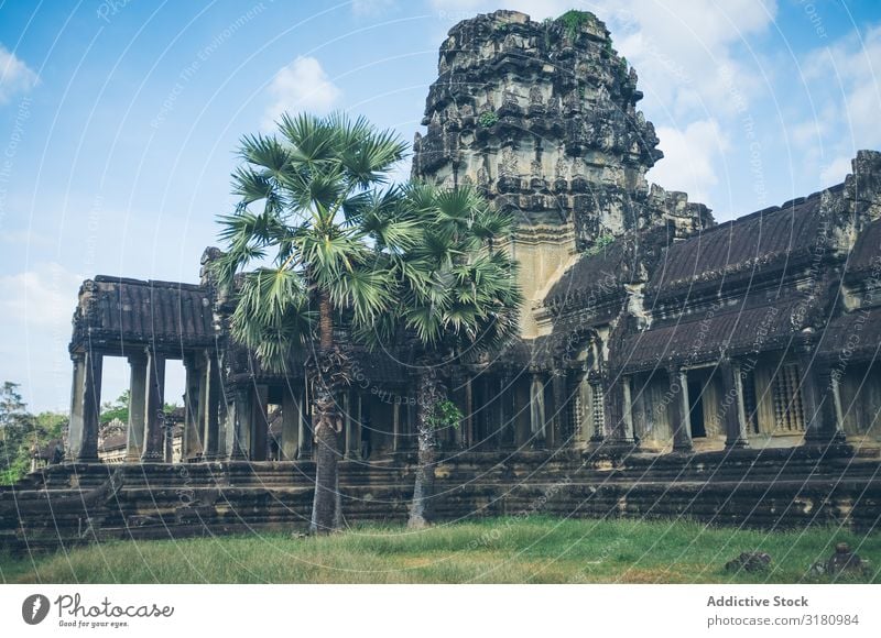 Garten um die alte Tempelanlage herum schwierig antik Orientalisch Baum Wahrzeichen Ferien & Urlaub & Reisen Kultur Religion & Glaube Architektur Tourismus