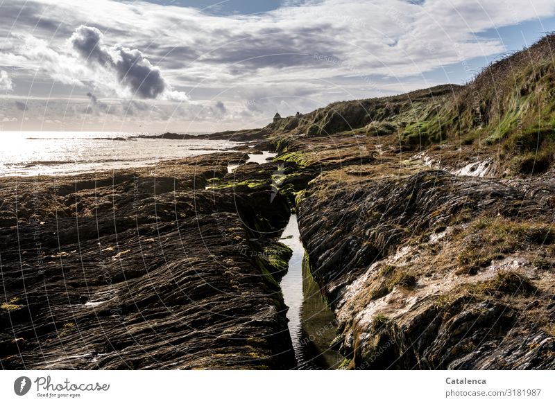 Felsen am Strand, Wolken am Himmel Freiheit Meer wandern Umwelt Natur Landschaft Erde Sand Wasser Horizont Winter Pflanze Gras Algen Meeresströmungen Wellen