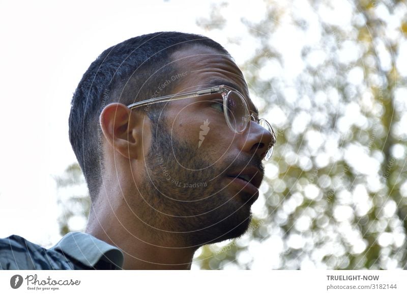 Sergio Junger Mann Jugendliche Kopf 18-30 Jahre Erwachsene Natur Himmel Schönes Wetter Baum Blatt Park Brille schwarzhaarig kurzhaarig Dreitagebart beobachten