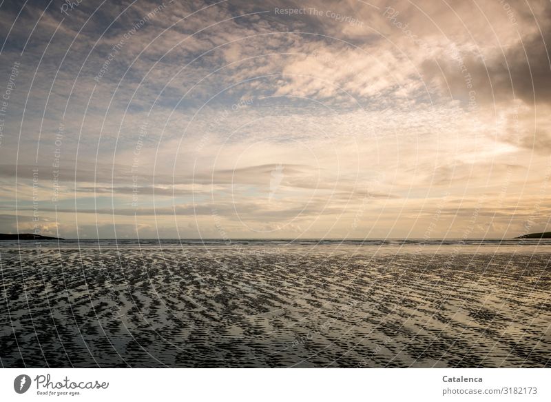 Bei Ebbe erscheint der Meeresboden, es ist Abend. Freiheit Strand wandern Umwelt Natur Landschaft Sand Wasser Himmel Wolken Horizont Wetter schlechtes Wetter