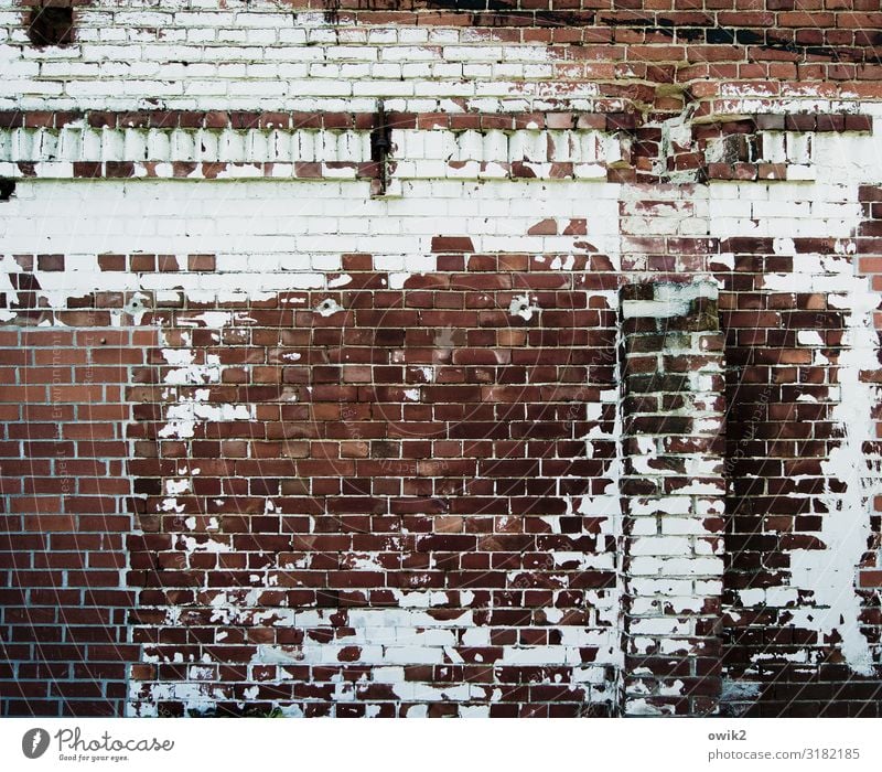 Schuppenflechte Gebäude Scheune Mauer Wand Backstein Backsteinwand alt Verfall Vergänglichkeit Zerstörung Zahn der Zeit Farbstoff abblättern Wandfries Farbfoto