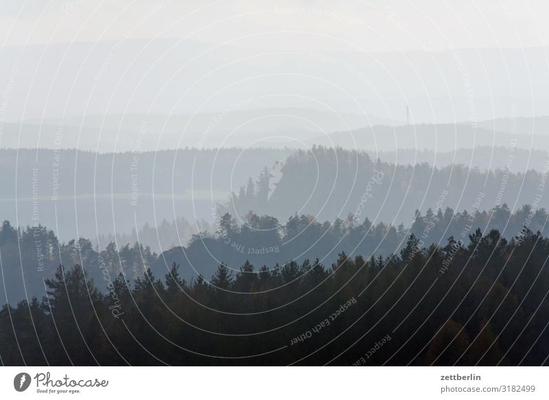 Polenztal bei Hohnstein Berge u. Gebirge Nebel Dunst Elbsandsteingebirge Erholung Felsen Ferien & Urlaub & Reisen Ferne Herbst Horizont Hügel Landschaft