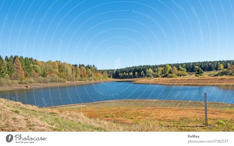 Mittlerer Pfauenteich Ferien & Urlaub & Reisen Ausflug wandern Natur Landschaft Wasser Wolkenloser Himmel Herbst Klima Klimawandel Dürre Baum Wald