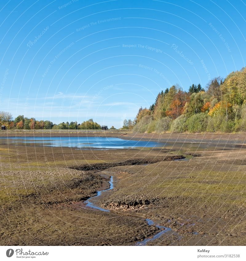 Ausgetrocknet Natur Landschaft Wasser Wolkenloser Himmel Herbst Klimawandel Dürre Baum Wald Berge u. Gebirge Harz Teich See Mittlerer Pfauenteich