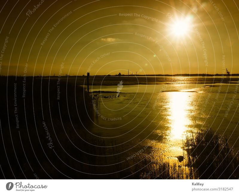 Es wird Nacht vor Nordenham Natur Landschaft Wasser Himmel Sonne Sonnenaufgang Sonnenuntergang Sommer Küste Fluss Weser Wattenmeer Ebbe Gezeiten Deutschland