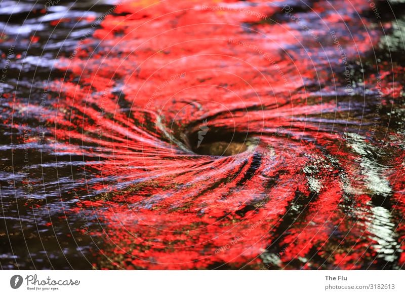 Lichtstrudel Wasser Wellen drehen blau rot schwarz weiß Brunnen Reflexion & Spiegelung Wasserwirbel glänzend kreisen fließen Loch Nacht Abfluss konzentrisch