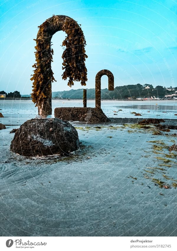 Unbekanntes am Strand bei Ebbe Ferien & Urlaub & Reisen Tourismus Ausflug Abenteuer Ferne Freiheit Sightseeing Sommerurlaub Umwelt Natur Landschaft Pflanze Tier