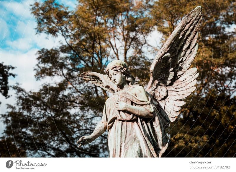 Friedhof in Stöcken derProjektor dieprojektoren farys joerg farys ngo ngo-fotograf Textfreiraum links Umwelt Sehenswürdigkeit Denkmal ästhetisch außergewöhnlich