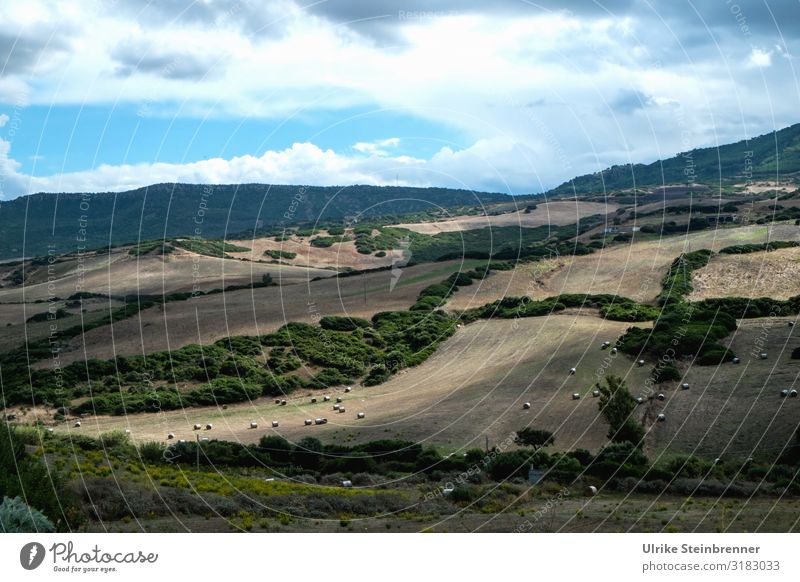 Herbstliche Landschaft auf Sardinien Felder Acker Heuballen Strohballen Bäume Hecken Wald Berge Landwirtschaft Wolkenhimmel Einsamkeit einsam Ruhe Sonnenlicht