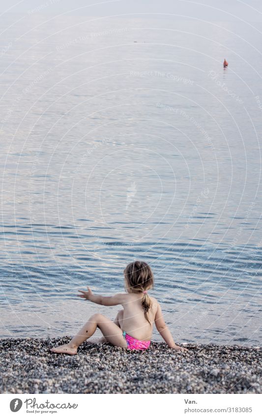 Kann ich noch einen Stein reinwerfen? Erholung Ferien & Urlaub & Reisen Sommerurlaub Strand Kleinkind Mädchen Kindheit 1 Mensch 1-3 Jahre Natur Wasser