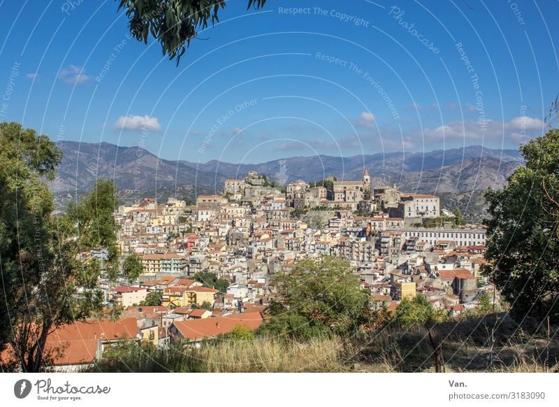 Sizilianisches Bergdorf Castelbuono Stadt Dorf Sizilien Häuser Wohnsiedlung Bäume Natur Landschaft Himmel blau Schönes Wetter Sommer Urlaub reisen Berge