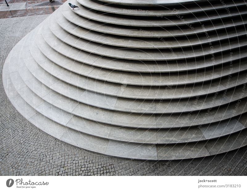 Treppe, kleiner Auftritt Architektur Berlin-Mitte Taube 1 Kopfsteinpflaster Bodenplatten Streifen sitzen frei groß hoch oben viele Stimmung Sauberkeit Ordnung