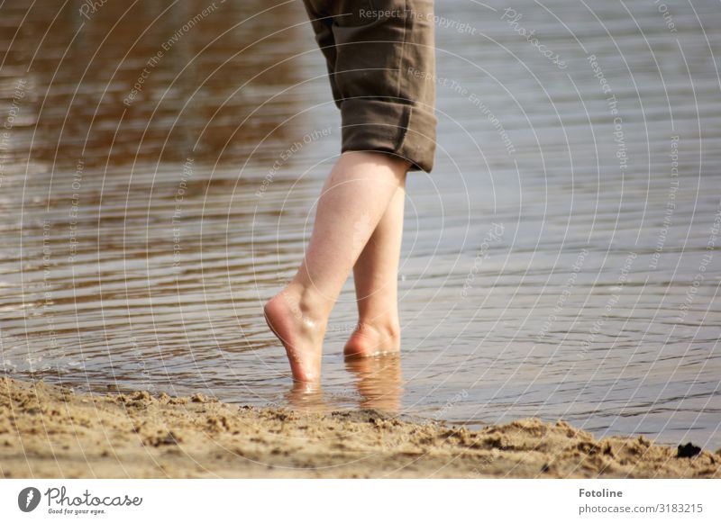 Huuuuu kalt! Mensch feminin Kind Kindheit Haut Beine Fuß 1 Umwelt Natur Urelemente Erde Sand Wasser Sommer Küste Seeufer hell nah nass natürlich braun