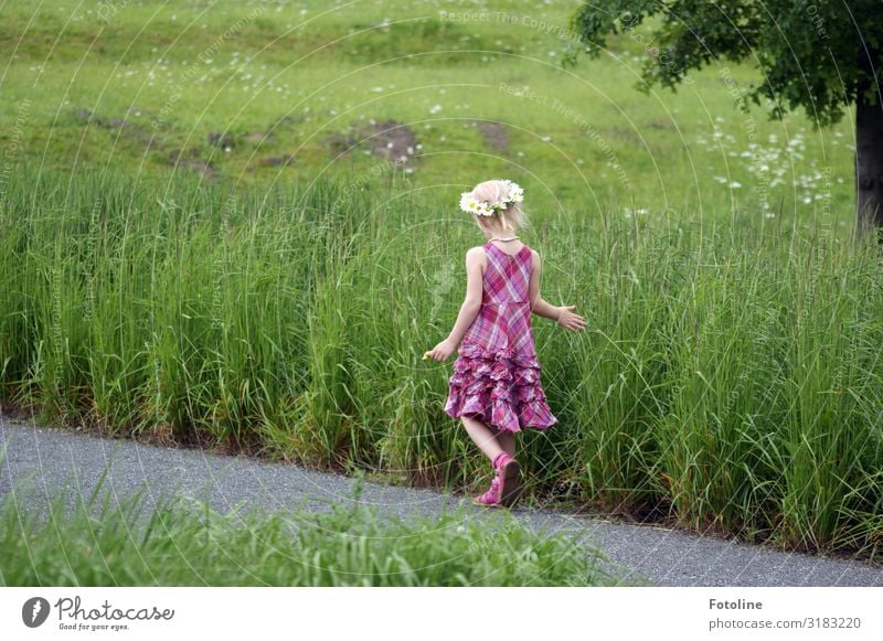 1,2,3,4,5... viele Mensch feminin Kind Mädchen Kindheit Rücken Arme Hand Finger Beine 3-8 Jahre Umwelt Natur Landschaft Pflanze Urelemente Erde Sommer Baum Gras