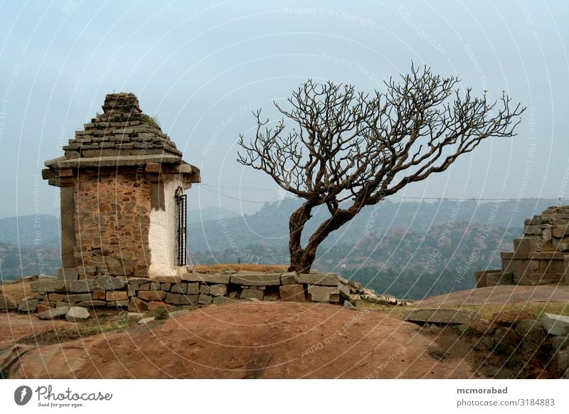 Baum und Tempel Landschaft Hügel Gipfel ästhetisch Baumumhang eingetrocknet laublos einsam Single Bergkuppe Top Kamm Schrein heiliger Ort Szene Kulisse