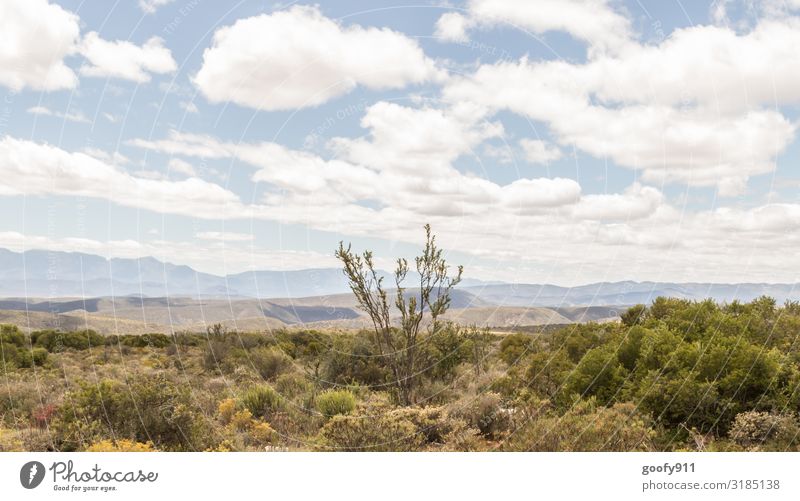 Das Hinterland Südafrika's Ferien & Urlaub & Reisen Tourismus Ausflug Abenteuer Ferne Freiheit Safari Expedition Umwelt Natur Landschaft Pflanze Tier Erde