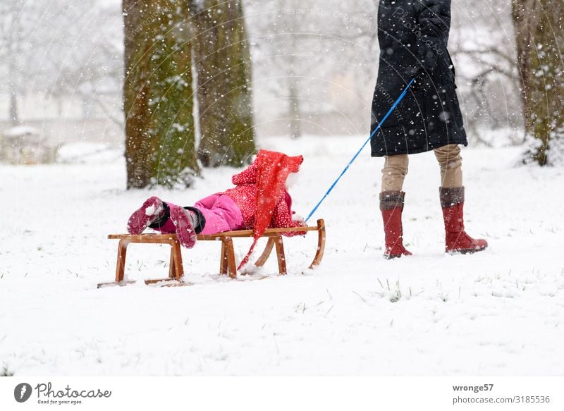 Schnee von gestern Winter Mensch feminin Kind Mädchen Frau Erwachsene Weiblicher Senior Großmutter 2 3-8 Jahre Kindheit 45-60 Jahre 60 und älter kalt blau braun