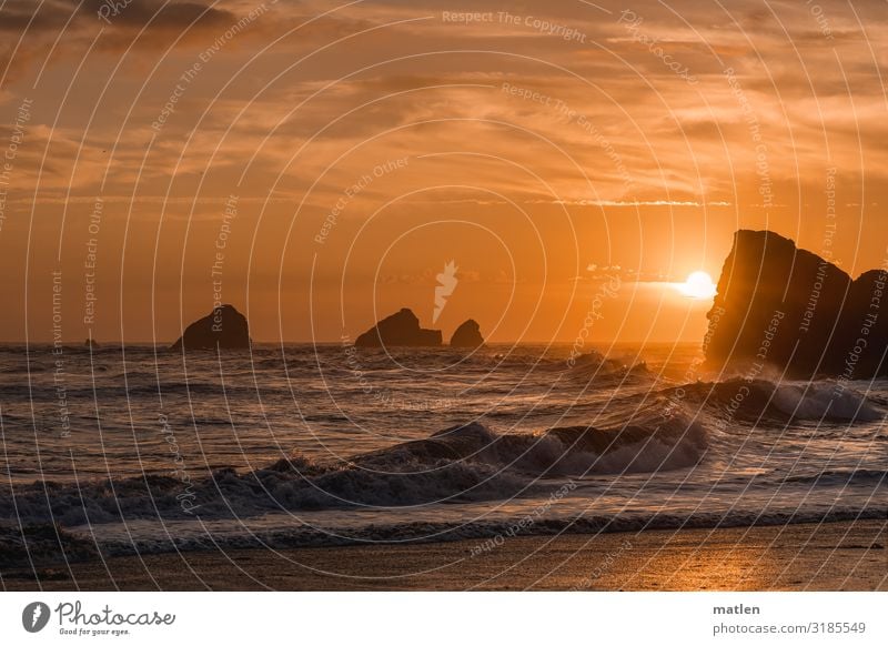 der Tag geht Natur Landschaft Sand Luft Wasser Himmel Wolken Horizont Sonnenaufgang Sonnenuntergang Sommer Schönes Wetter Felsen Wellen Küste Strand Bucht Riff