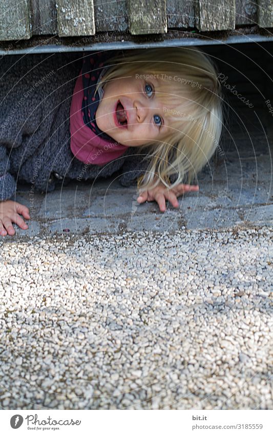 Kleines, freches, süßes, kulleräugigs Mädchen schaut neugierig, interessiert, lustig unter einem Zaun durch. Blondes witziges Kleinkind spielt Verstecken. Ausflug in der Stadt, Kleinkind liegt am grauen Boden mit Kopfsteinpflaster, Steinen und Holzwand.