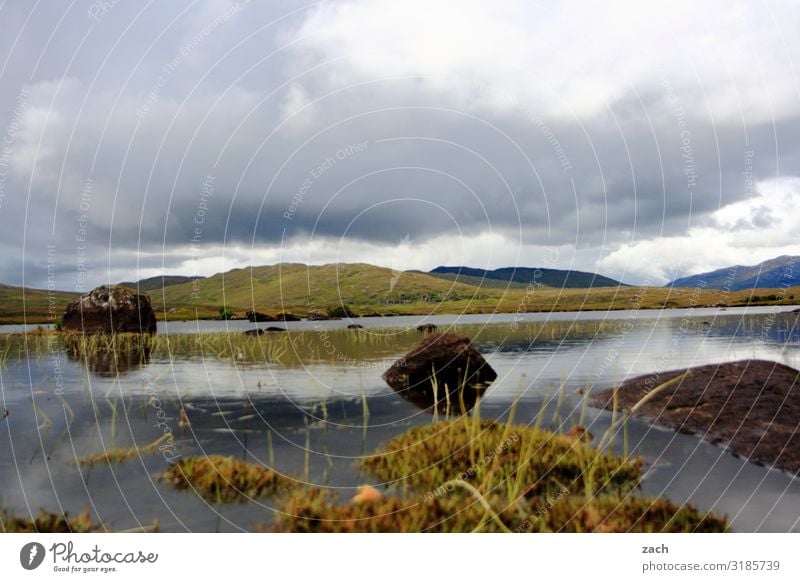 Connemara Natur Landschaft Himmel Wolken schlechtes Wetter Pflanze Gras Sträucher Moos Wiese Feld Hügel Seeufer Flussufer Moor Sumpf Stein braun grün Idylle