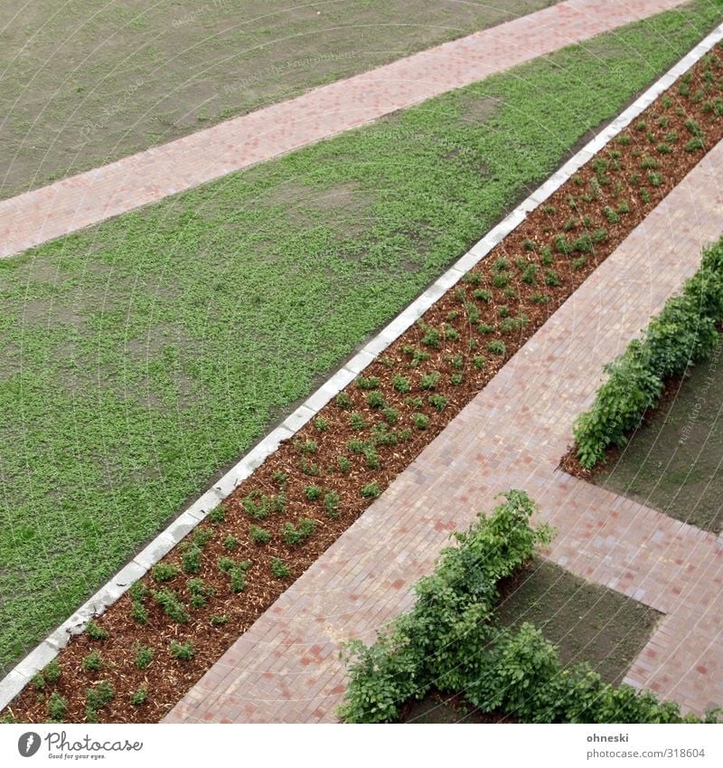 Gartenbaukunst II Erde Hecke Park Wiese Wege & Pfade Beet Ordnung Farbfoto abstrakt Muster Strukturen & Formen Menschenleer Textfreiraum links Textfreiraum oben