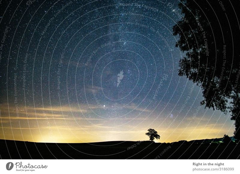 Into the Night Natur Landschaft Himmel Wolkenloser Himmel Nachthimmel Stern Horizont Sommer Baum Feld ästhetisch Zufriedenheit einzigartig Frieden geheimnisvoll