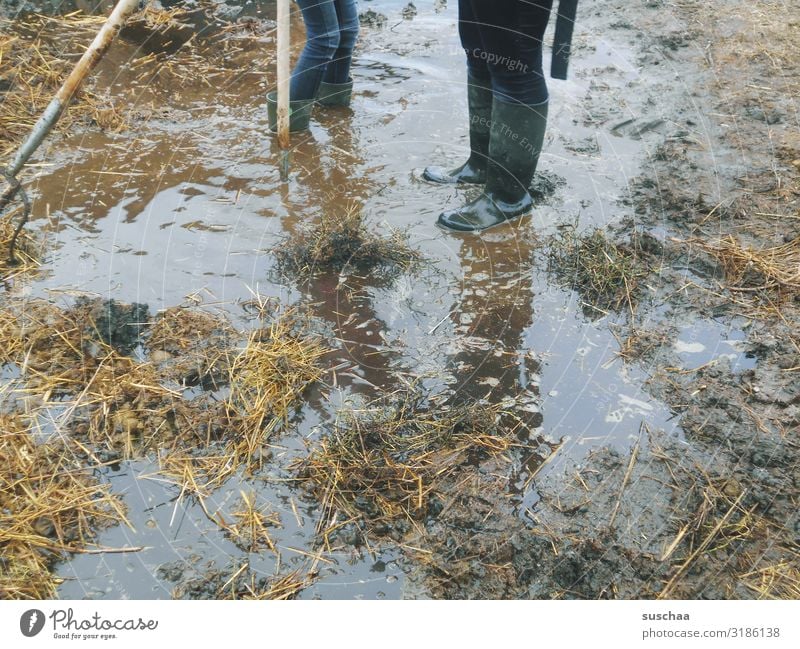 mist und gülle .. Misthaufen dreckig Übelriechend Kot Gülle Jauche Urin Pull Bauernhof Landwirt Landwirtschaft Forke Gummistiefel Landleben Feldarbeit Geruch