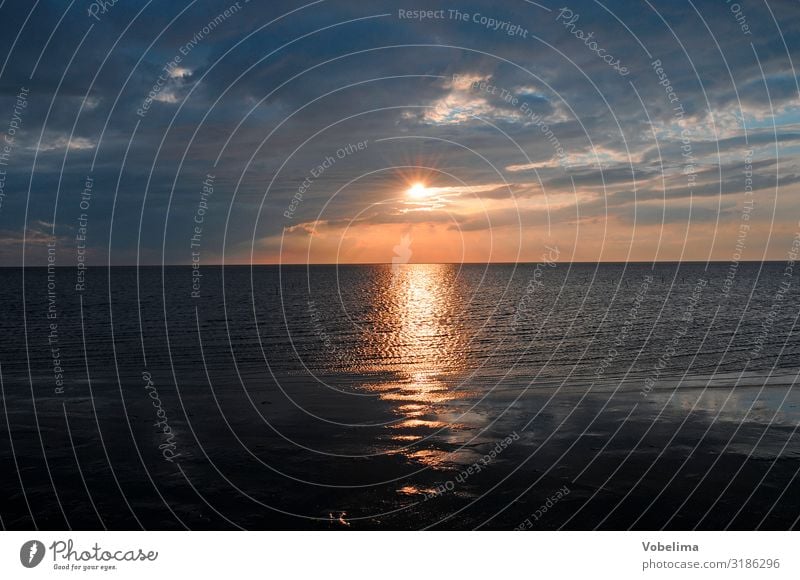 Abend am Watt Sonne Landschaft Wasser Wolken Sonnenaufgang Sonnenuntergang Küste Nordsee blau mehrfarbig gold orange rosa rot schwarz Wattenmeer ab Farbfoto