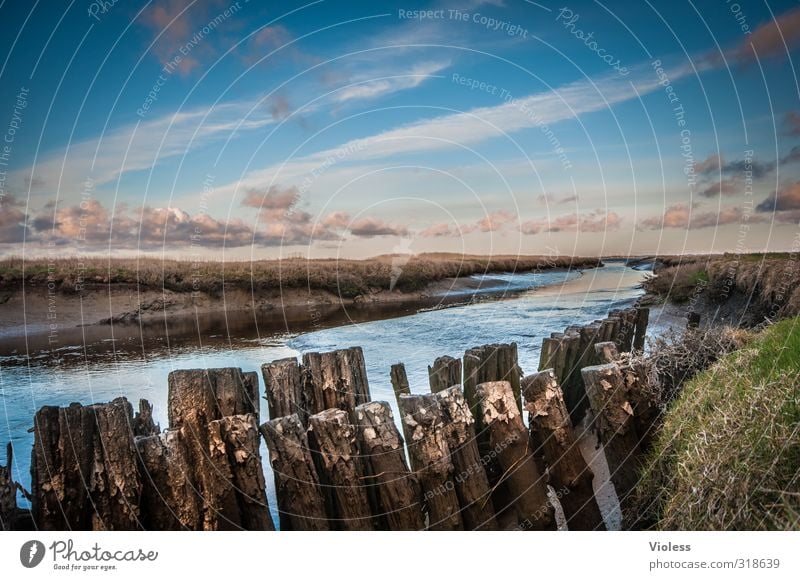 Rømø | ...fairytale III Nordsee Meer Moor Sumpf Bach kalt ruhig Wolken Farbfoto mehrfarbig Weitwinkel