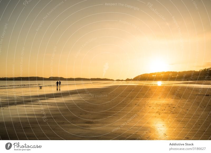 unkenntliches Paar, das bei Sonnenuntergang am Strand spazieren geht. Mensch Sand Wasser erstaunlich laufen Küste nass Himmel Sonnenaufgang Wolken schön