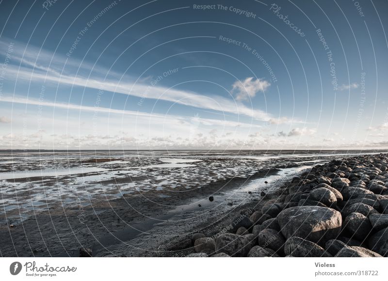 Rømø | ...what Natur Landschaft Himmel Wolken Küste Nordsee Insel Moor Sumpf entdecken Erholung Wattenmeer Römö Dänemark Wattwandern Farbfoto Textfreiraum oben