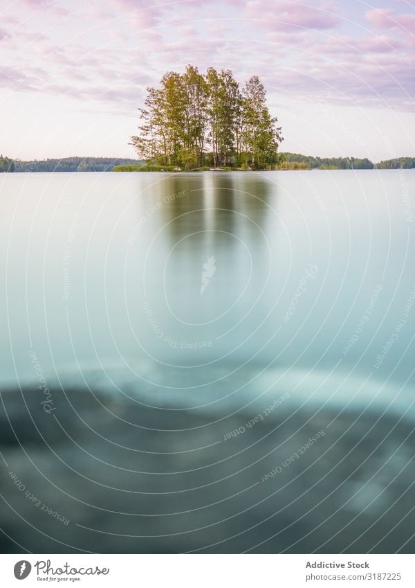 Landschaft mit See und Insel in Finnland Natur Wasser Ferien & Urlaub & Reisen Tourismus Freizeit & Hobby schön Wald Park blau Himmel Sommer Tag Norden ruhig