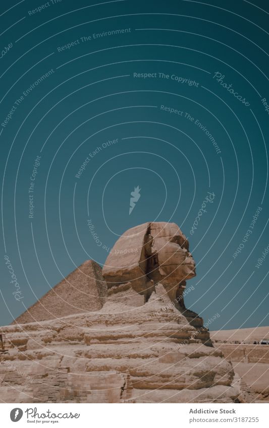 Große Sphinx gegen wolkenlosen Himmel Prima Gizeh Kairo Ägypten Schönes Wetter blau Sonnenstrahlen Tag Erbe Berühmte Bauten Schaden Wüste alt antik Wahrzeichen