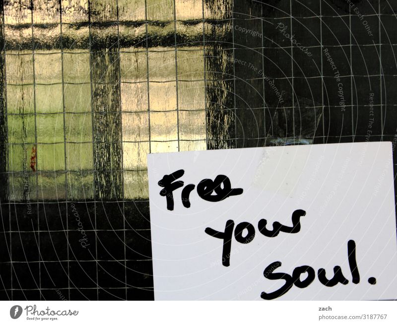 Free your soul. Stadt Hauptstadt Stadtzentrum Fassade Fenster Zeichen Schriftzeichen Schilder & Markierungen frei Glück Zufriedenheit Lebensfreude Optimismus