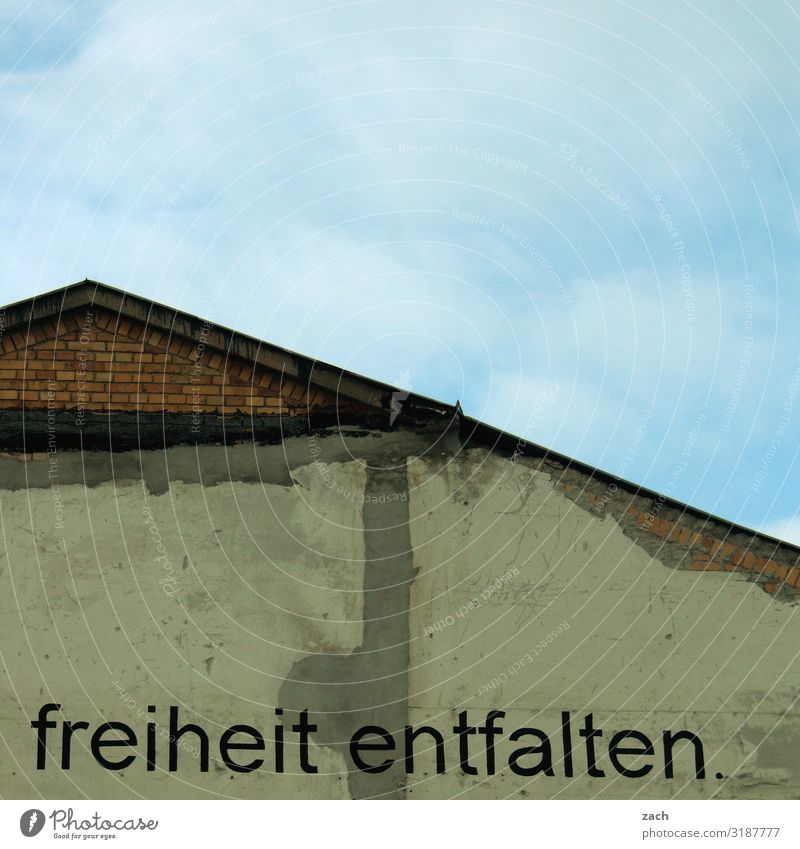 freiheit entfalten. Himmel Berlin Stadt Hauptstadt Stadtzentrum Haus Ruine Mauer Wand Dach Zeichen Schriftzeichen Graffiti blau grau Glück Zufriedenheit