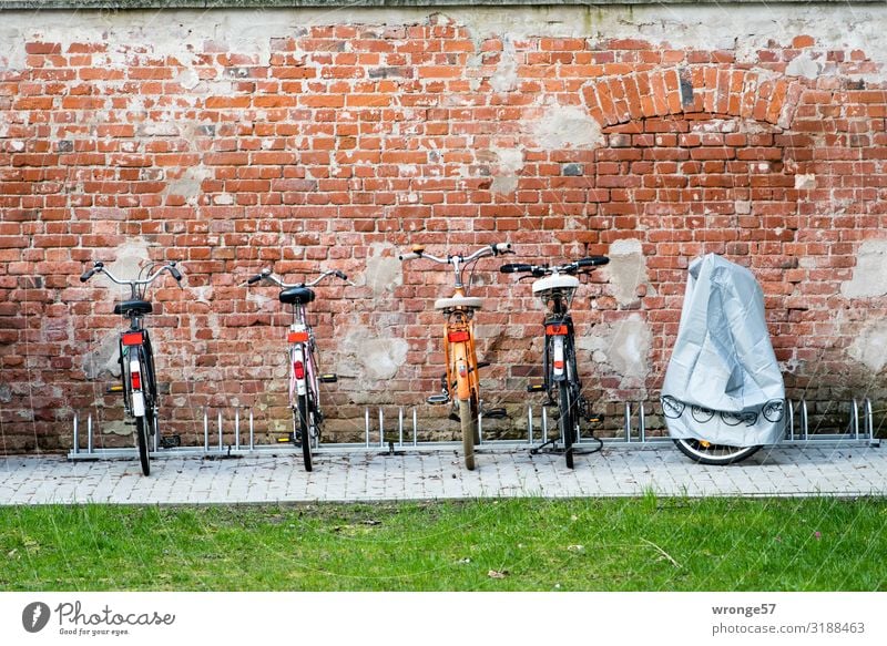 Fahrradparkplatz Platz Fahrradfahren Stadt grau grün rot Bewegung Mobilität Ordnung Fahrradständer parken Parkplatz Abstellplatz umweltfreundlich Farbfoto