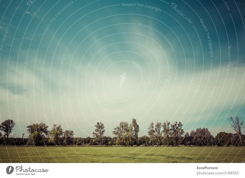 leicht bewolkt Umwelt Natur Landschaft Himmel Wolken Frühling Sommer Klima Wetter Schönes Wetter Baum Gras blau grün weiß Reihe Farbfoto Außenaufnahme