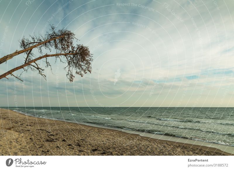 // Ferien & Urlaub & Reisen Tourismus Umwelt Natur Landschaft Sand Luft Wasser Himmel Wolken Frühling Sommer Klima Wetter Schönes Wetter Baum Wellen Küste