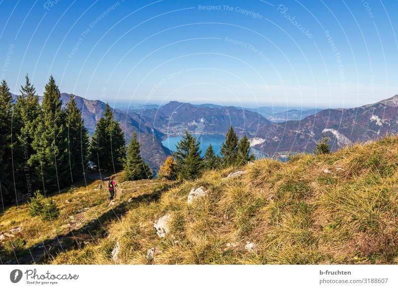 Wandern im Salzkammergut Ferien & Urlaub & Reisen Tourismus Ausflug Freiheit Berge u. Gebirge wandern Sport Frau Erwachsene 1 Mensch Natur Landschaft Himmel