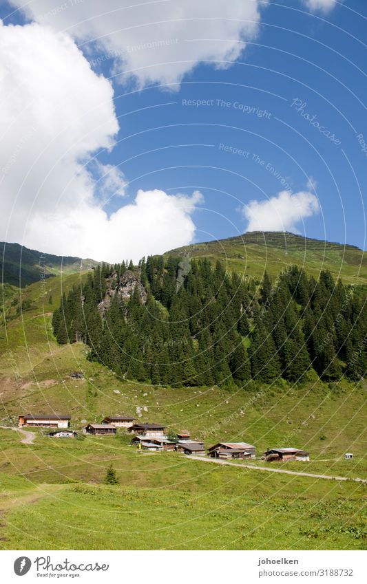 Mittelalm in den Alpen Alm Nadelwald Berge Almwiese Wolken Blauer Himmel Almhütten Österreich Bergwald