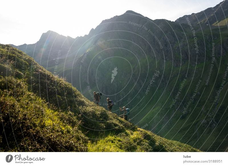 Bergläufer wandern Landwirtschaft Forstwirtschaft Umwelt Natur Landschaft Sommer Schönes Wetter Hügel Felsen Alpen Berge u. Gebirge Gipfel malfon malfontal