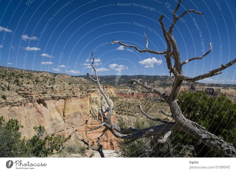 weites Land Landschaft Schönes Wetter Baum Felsen Schlucht ästhetisch trocken Wärme wild Natur Ferne Farbfoto Außenaufnahme Menschenleer Tag Kontrast