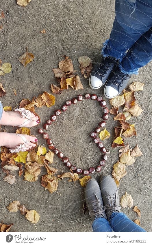 Herbstliebe Mensch feminin Haut Beine Fuß 3 Umwelt Natur Urelemente Erde Sand Blatt Herz natürlich blau braun gelb herzförmig Jeansstoff Schuhe Flipflops Barfuß